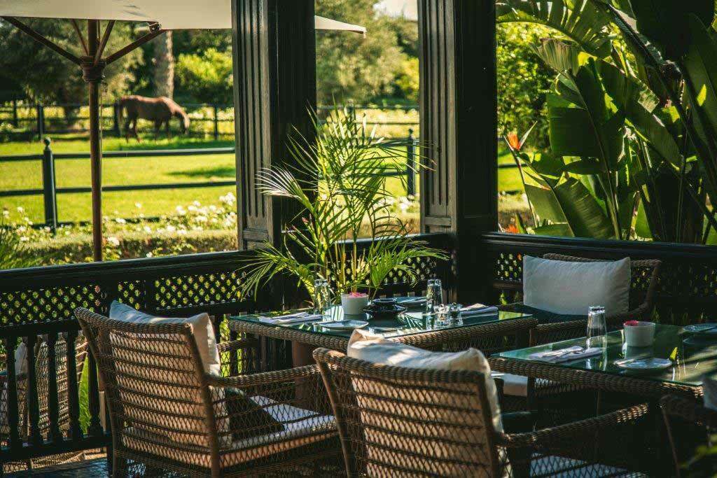Pranzo in giardino