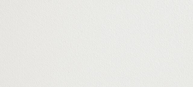 PCSTS white F8