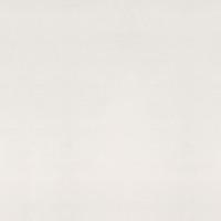 canvas - C109